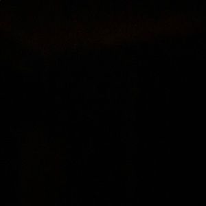 Meet your Posher, Zoe